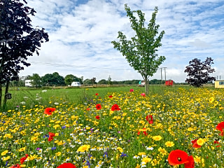 Butt Farm Caravan and Campsite, Beverley, East Yorkshire