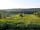 Thistledown Farm Campsite: So much space