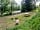 Ryeford Ponds Glamping: Camping Spot  - set in the valley, southern facing with a pond view, a bench, fire pit and hammock.