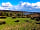 Primrose Cottage Camping