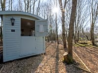 The beautiful Florence! A supermodel amongst Shepherd's Huts! The beautiful Florence! A supermodel amongst Shepherd's Huts!