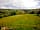 Vyrnwy Wild Welsh Camping (фото добавлено менеджером 02.06.2022)