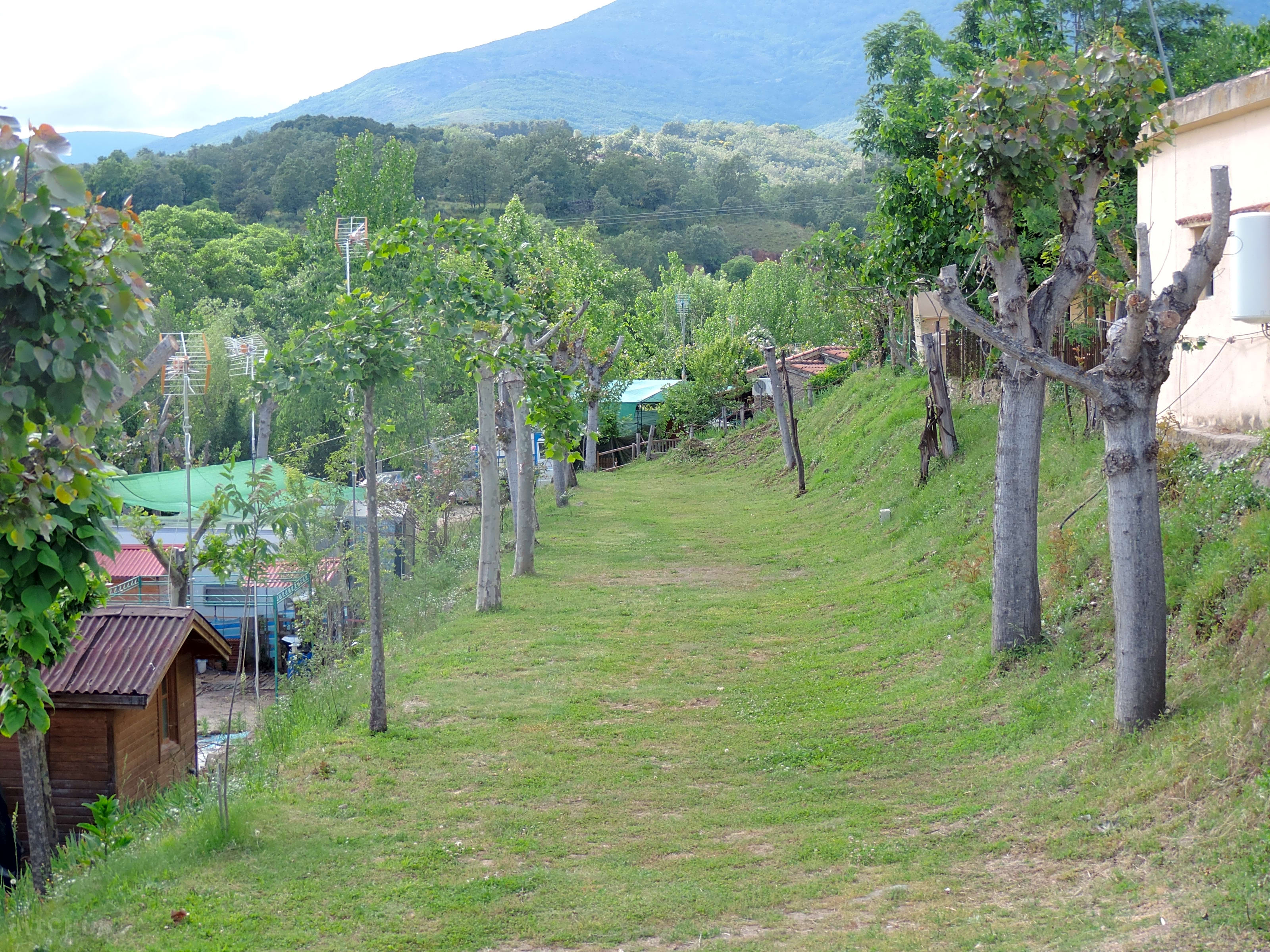 Complejo Camping Godoy Losar De La Vera Pitchup