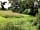 Kingsettle Camping Retreat: Green views