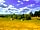 Hendre Farmhouse Orchard Campsite: Beautiful