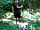 Nantclimbers Woodland Camping Huts: Walk in the forest