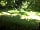 Yomer Wood Camping: Badger pitch
