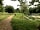 Church Paddock: Path around the lake