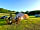 Wild Combe Camping: Early evening