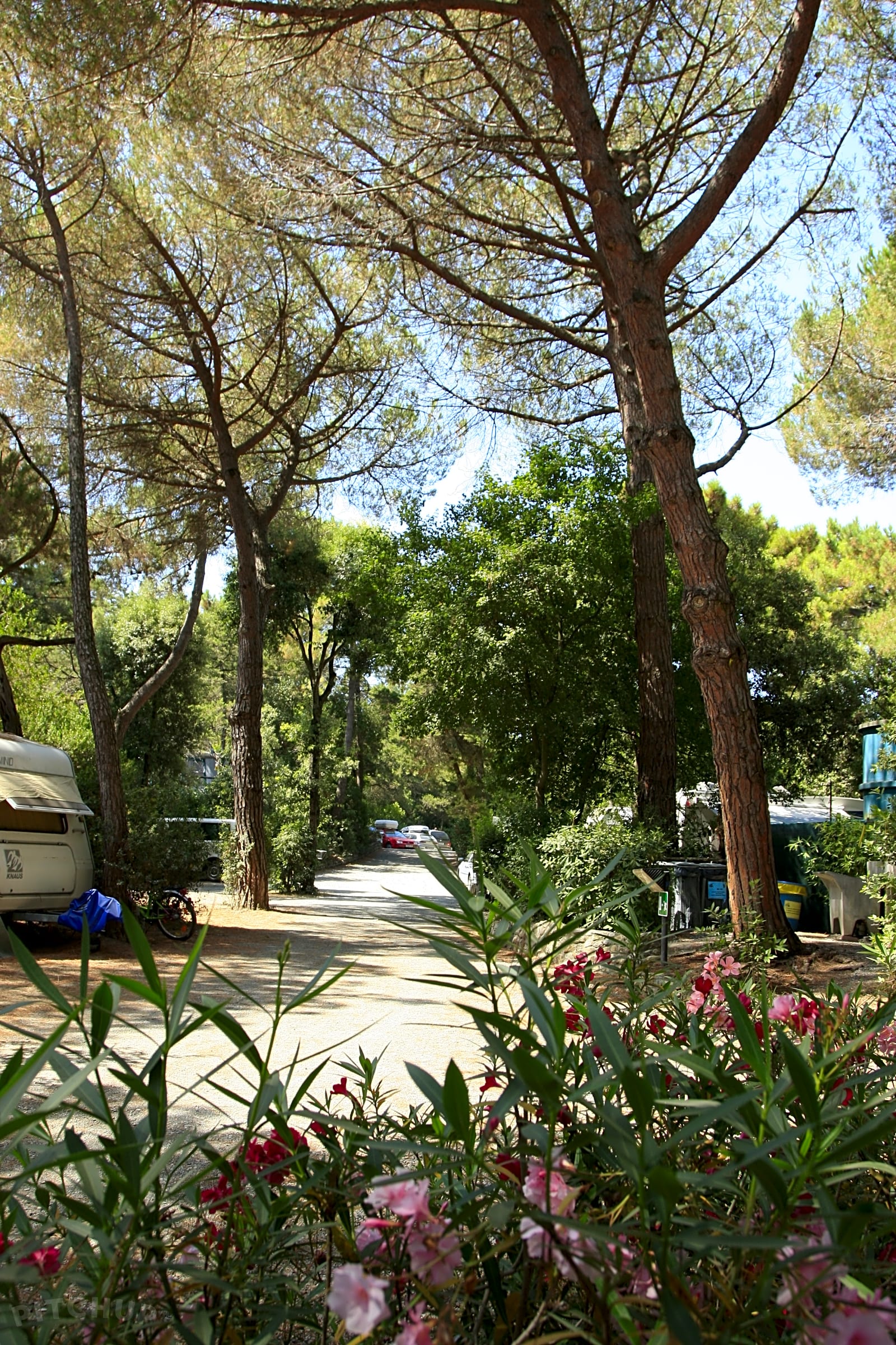 Camping Casa di Caccia, Bibbona - Pitchup®