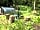 Wrekin Forest Events Camping