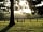 Idle Hours Owlsbury Park: View from the site