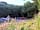 Adventure Camping: Woodland camping