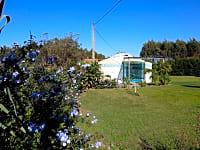 Green yurt exterior Green yurt exterior