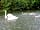Yarwell Mill Country Park (фото добавлено vivienne_t247897 08.07.2016)