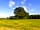 Beech Farm