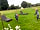 Bromson Hill Farm: Running wild being kids (photo added by  on 24/07/2023)
