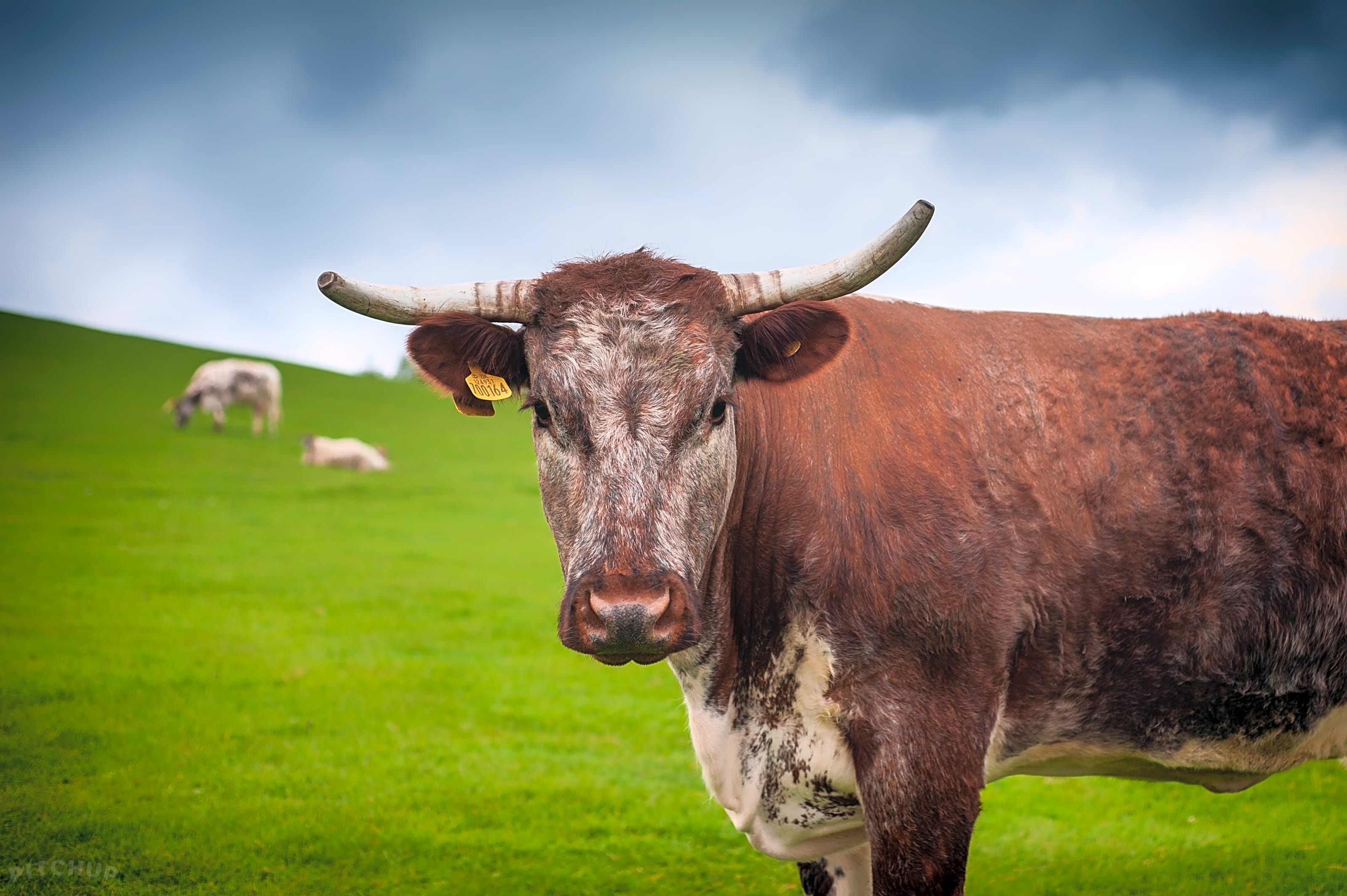 Thornton Hall Farm Country Park, Skipton Updated 2021 prices Pitchup®