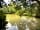 The Firs Fishery and Campsite: The lakes