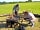 Bales Ash Campsite: Firepit available