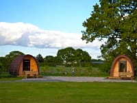 Camping pods under the trees Camping pods under the trees