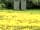 Hamstead Huts: Amenities huts (photo added by manager on 23/05/2022)