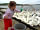 Pilsdon View Camping: Feeding swans at nearby Abbotsbury