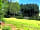 Hill Wood View