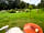 The Merry Harriers: View from fire pit (photo added by  on 07/09/2020)