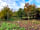 Five Wyches Farm Camping: Secluded pitch perfect for single tents and couples (photo added by manager on 29/11/2023)