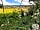 Buckland Farm Camping: Wild flower meadow - overlooking the site and Blackdown Hills