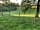 Lockhurst Hatch Farm: View (photo added by  on 10/06/2021)