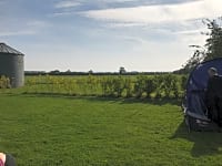 Camping Field. Camping Field.