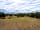 Roundhill Caravan and Camping Site: Looking out at the forest
