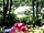 Blackberry Wood Campsite: Camping in the woods with a campfire!!