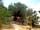 The Olive Garden: Looking down on the chill out tent, hammock and pool
