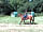 Hurstwood Farm: Horses all around