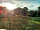 Forest Park Caravan Site: Morning Sun.