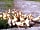 Mowbray Meadow: Ducks at the farm (photo added by manager on 11/01/2022)