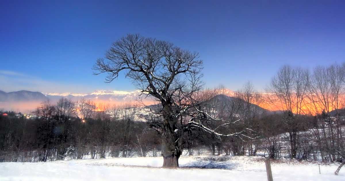 Camping du Buisson, SaintMartind'Uriage