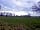 Coxwood Farm