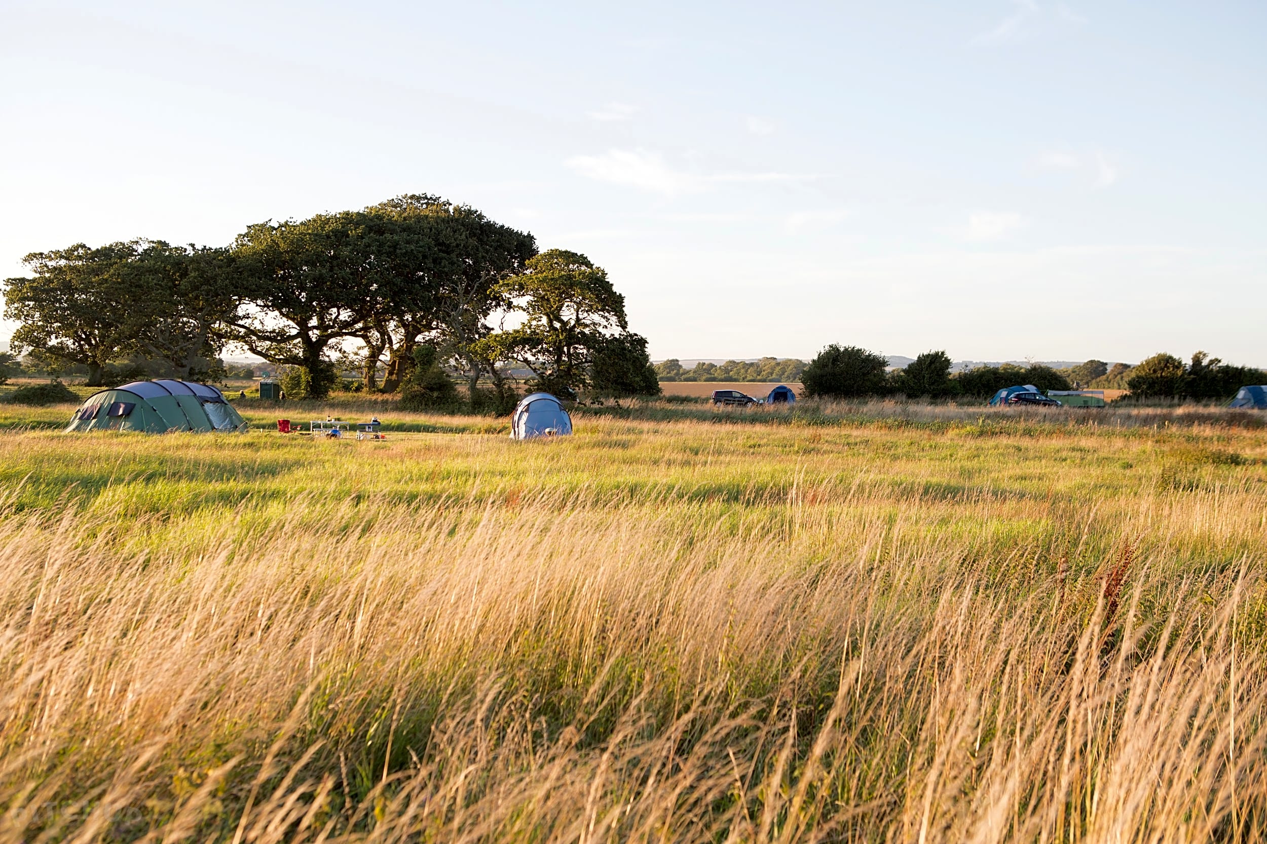 Donnington Wild Camping, Chichester Updated 2020 prices Pitchup®