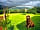 Coed Derw Camping