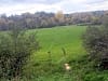 Mayfield Park: Walk from campsite to Cirencester (photo added by rowena_g145876 on 24/10/2025)