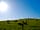 Sands of Luce Holiday Park: Your neighbours