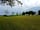 Field 725 Eco Camping and Glamping: looking around