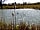 Shaftesbury Country Touring Park: Across the lake (photo added by manager on 20/05/2021)