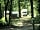 Wellington Country Park: Wellington Country Park wood