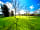 Finders Keepers France: Acres of gardens with countryside views (photo added by manager on 06/09/2023)