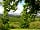 In The Orchard - Glamping at Cothill: Surrounded by lovely countryside